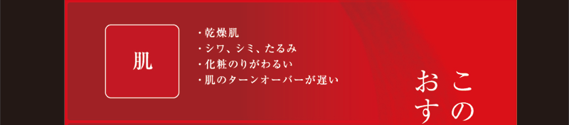 肌　乾燥肌・シワ、シミ、たるみ・化粧のりがわるい・肌のターンオーバーが遅い